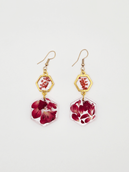 Hexa Blooms